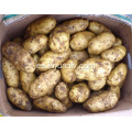 Patatas frescas de buena calidad